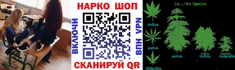 Виды наркоты Ладушкин Кокаин  МЕГА рабочий сайт  ГАШ  Бошки Шишки  МЕФ  Амфетамин 