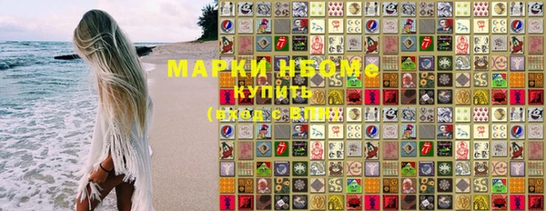 мет Алексин