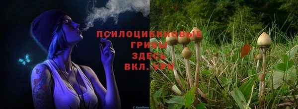 герыч Абинск